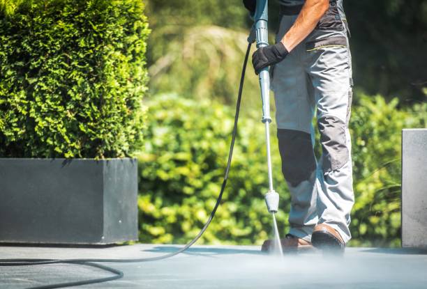 Best Dumpster Area Cleaning  in Powderly, TX