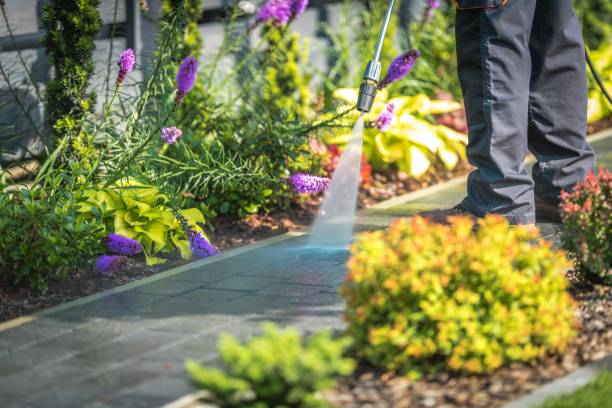 Best Sidewalk and Walkway Cleaning  in Powderly, TX