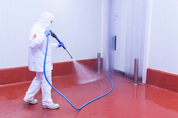 Best Spring Cleaning  in Powderly, TX