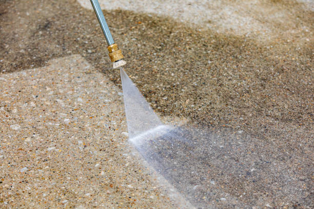 Best Roof Washing  in Powderly, TX