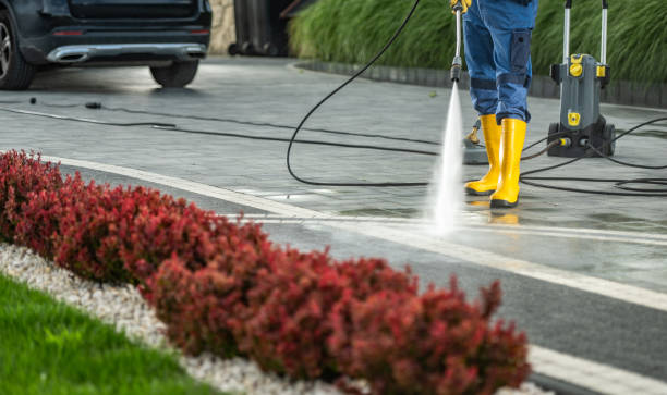 Best Fence Cleaning  in Powderly, TX
