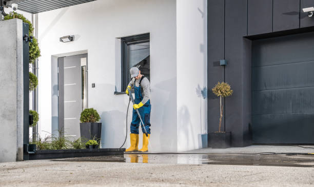 Best Solar Panel Cleaning  in Powderly, TX